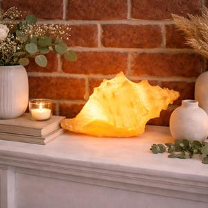 Conch Shell Lamp Light-Seashell Coastal Decor-Costal Table Accent Nautical Lamp