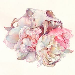 CALLISTO Open Edition Fine ART PRINT Bear Skull Peonies Watercolor Tracy Lewis