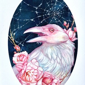 HARBINGER Open Edition Fine Art PRINT Roses Albino Raven Watercolor Tracy Lewis