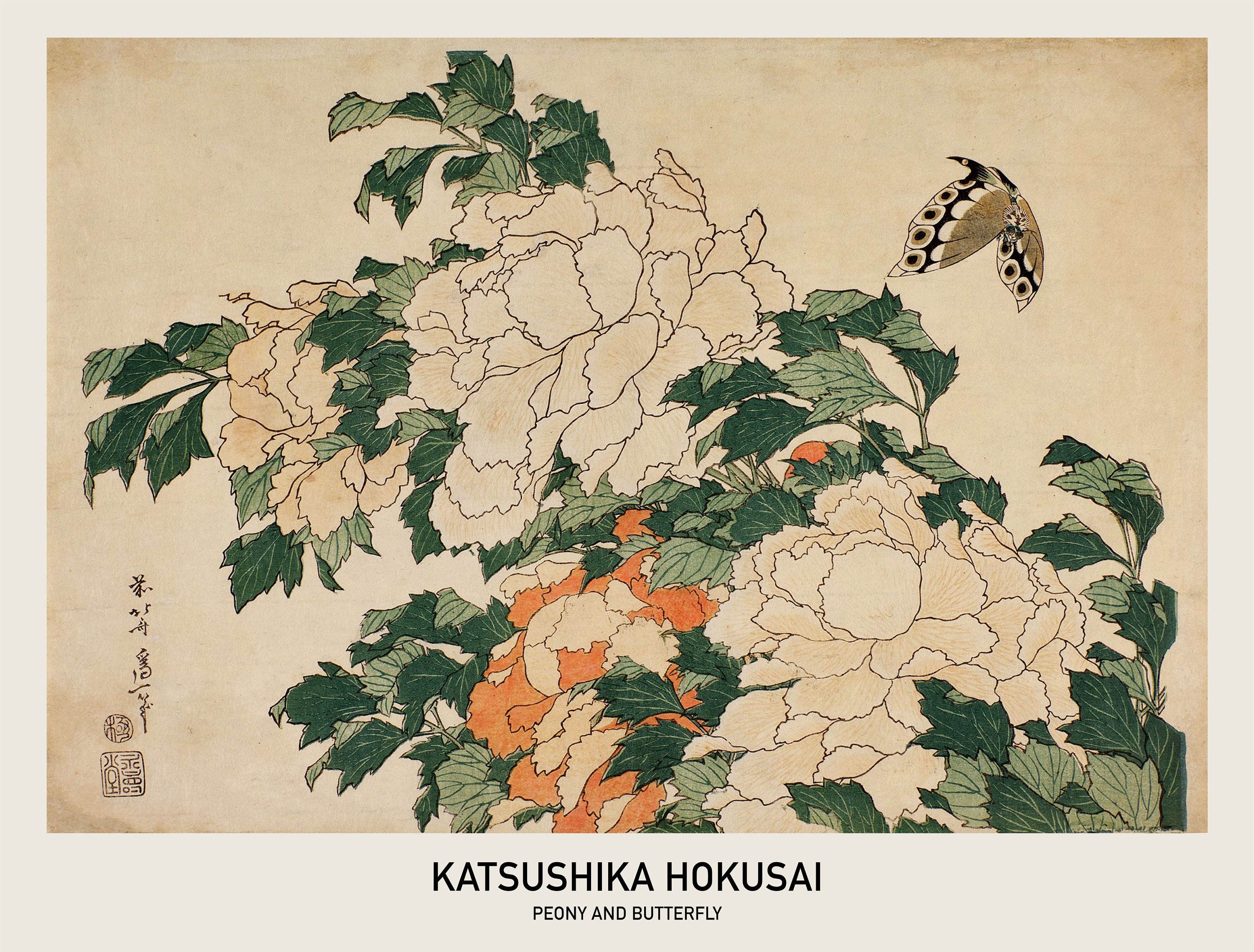 Japanese Peony Print - Etsy