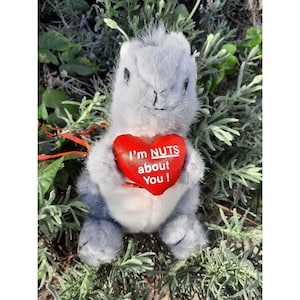 Puede incluir: Una ardilla de peluche gris que sostiene un corazón rojo con el texto "I'm NUTS about You!" en él.