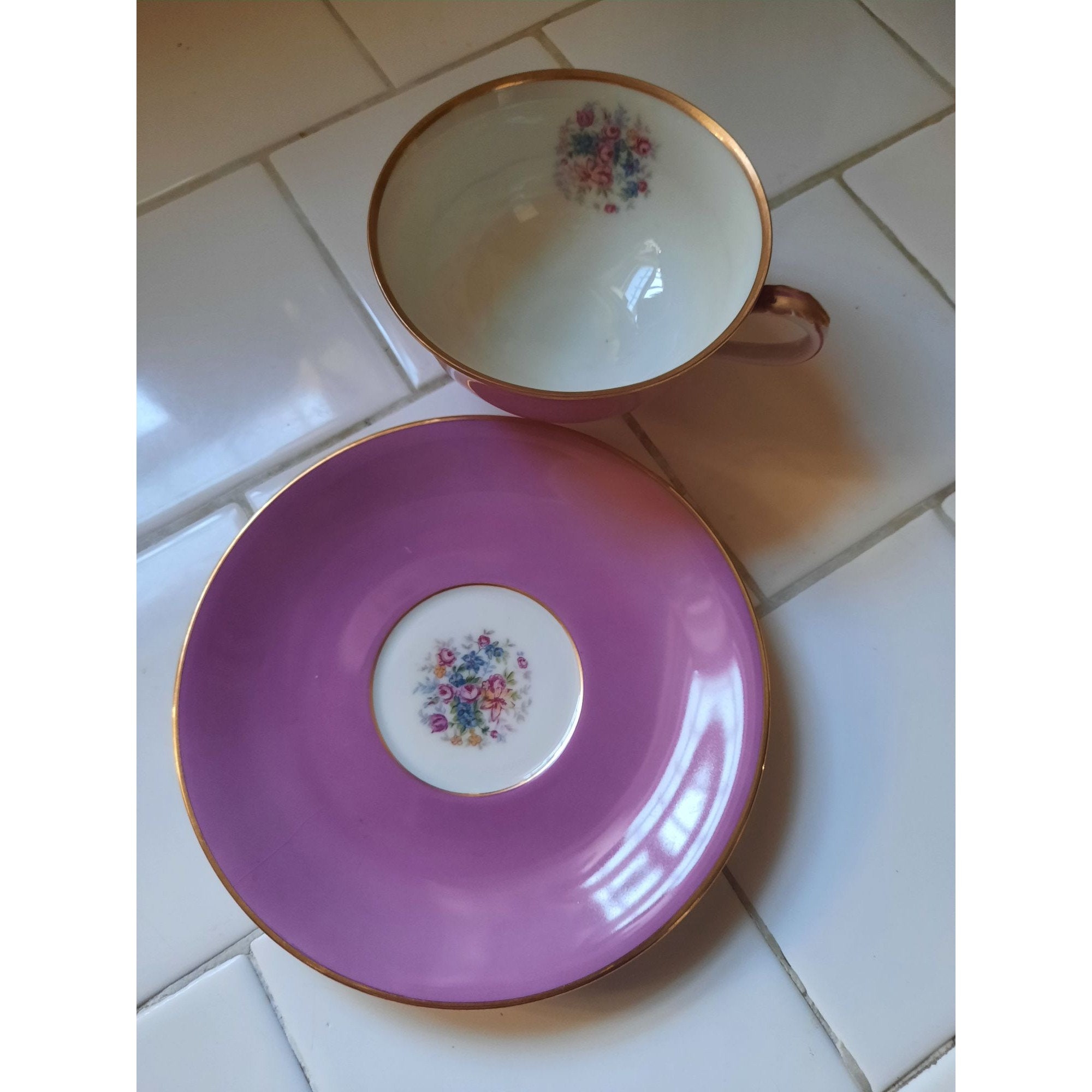 Vintage Teacup and Saucer Fine Porcelain H&C Hass and Czjjek Coronado ...