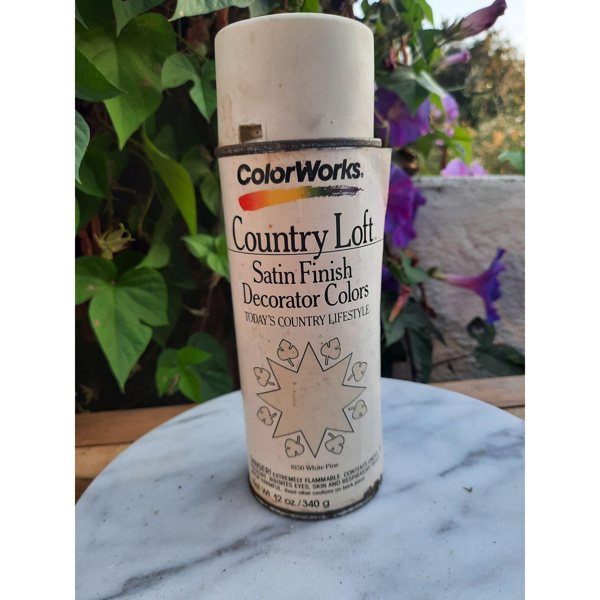 Vintage Illinois Bronze Paint Co Colorworks Country Loft Satin Finish ...