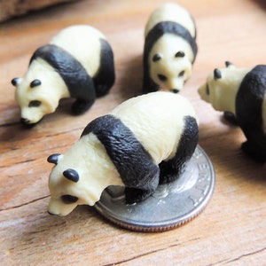 May include: Five miniature black and white panda bear figurines. The pandas are in various poses, some are looking down, some are looking straight ahead. The figurines are made of plastic and are about 1 inch tall.