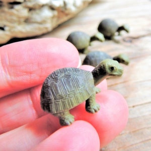 MINIATURE TORTOISE Turtle Miniature Animals Mini Tiny Soft Fairy Garden Figures Dollhouse Diorama Terrarium Small Craft Supplies Reptile Set