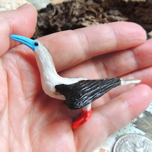 MINIATUR Rot oder Blaufußtölpel: Seevogel Tier Figur Figur Terrarium Puppenhaus Fee Garten Diorama kleiner Vogel Mini Handwerk Galapagos