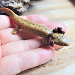 MINIATURE COMMON MUDPUPPY Animals Figure Figurine Dollhouse Diorama Terrarium Mini Small Plastic Safari Ltd Toob Individual Salamander Toy