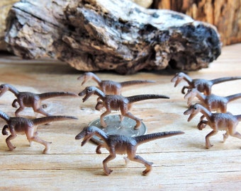 Set of MINIATURE VELOCIRAPTORS: Raptor Dinosaur Figurines Figure Tiny Mini Terrarium Fairy Garden Animal Dollhouse Diorama Supply Small Dino