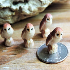 Set of Tiny MINIATURE Barn Owl Animals Figurines Figures Dollhouse Diorama Terrarium Fairy Garden Small Mini Micro Bird Miniatures Accessory