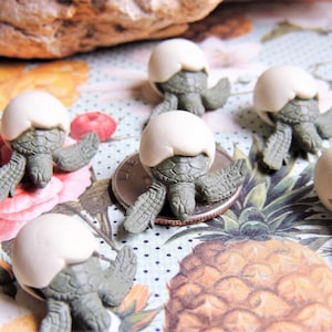Miniature Sea Turtle Hatchling Baby Figurines for Fairy Garden Dollhouse Diorama Terrarium Set Mini