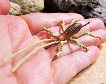 May include: A brown and tan insect toy with long antennae and multiple legs is held in a person's open palm. The insect has a segmented body and is made of plastic. The background includes wood and a piece of driftwood.