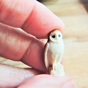 Tiny MINIATURE Barn Owl Animals Figurines Figures Dollhouse Diorama Terrarium Fairy Garden Small Toy Mini Micro Bird Miniatures Accessory