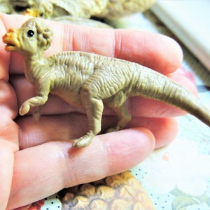 MINIATUR DINOSAURIER Tierfiguren Figur Fee Gärten Puppenhaus Diorama Terrarium kleine Dino Miniaturen Minifigur Pachycephalosaurus