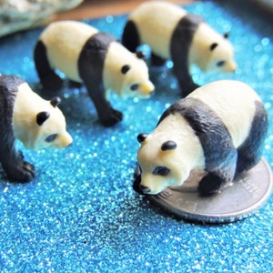 MINIATURE ANIMAL: Giant Panda Bear Figurines Figure Tiny Minis Fairy Garden Dollhouse Diorama Terrarium