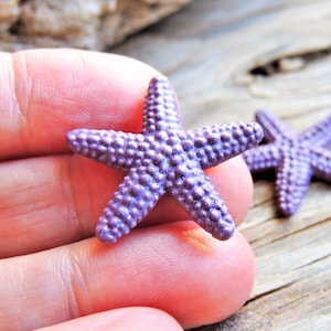 MINIATURE PURPLE STARFISH: Tiny Sea Life Animals Figurine Figure Dollhouse Fairy Garden Diorama Terrarium Small Micro Mini Miniatures Soft