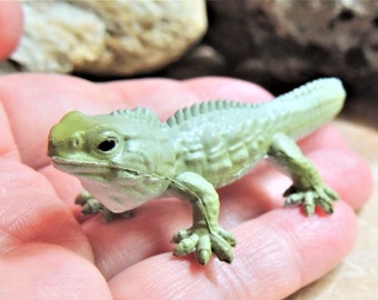 MINIATURE Animals Figurine Figures TUATARA Reptile Fairy Garden Dollhouse Diorama Terrarium Supply Craft Miniatures Parrot Tiny Small Mini