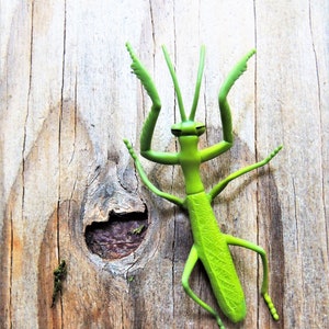 MINIATURE PRAYING MANTIS Animal Insect Figures Figurines Fairy Garden Terrarium Dollhouse Diorama Small Little Mini Plastic Model Animals