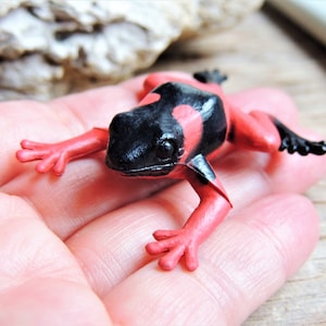 FROG MINIATURE ANIMAL Figures Figurine Lehmann&#39;s Poison Dart Frogs Fairy Garden Dollhouse Diorama Terrarium Supply Small Mini Miniatures