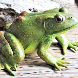 Large MINIATURE AMERICAN BULLFROG Animals Figurines Figures Diorama Terrarium Supply Craft Plastic Miniatures Model Pretend Play Realistic