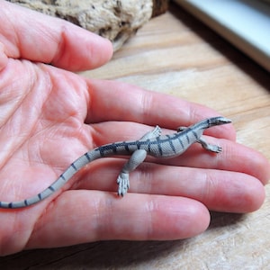 MINIATURE DESERT MONITOR Lizard Animal Figurine Fairy Garden Dollhouse Diorama Terrarium Sahara Craft Figures