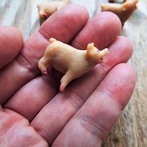 MINIATURE PIGS Mini Farm Animals Figures Figurine Pig Fairy Garden Dollhouse Diorama Terrarium Supply Small Craft Tiny MICRO Miniatures 1:12