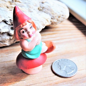 MINIATURE FEMALE GNOME On Mushroom Figurine Figure Fairy Garden Diorama Terrarium Dollhouse Plastic Miniatures Model Accessory Gnomes Gifts
