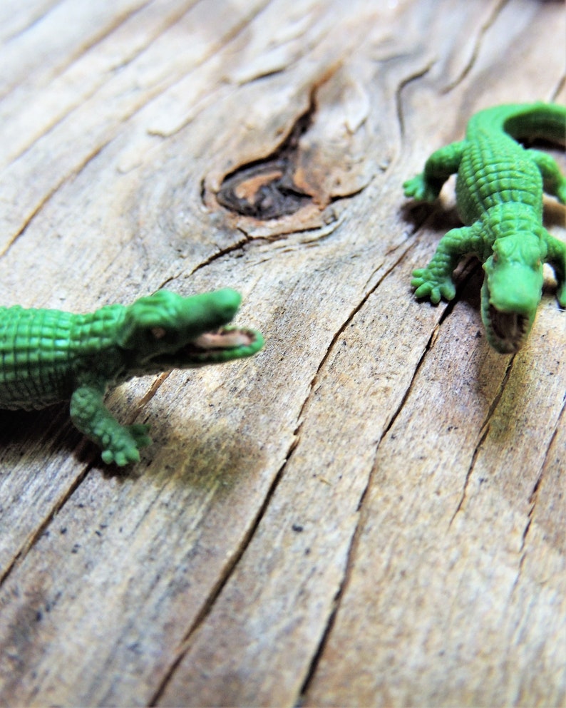 Tiny miniature realistic soft collectible alligator for crafts, dollhouses, terrariums, fairy or zen gardens, dioramas, shadow boxes, sensory or pretend play, plant pets, and much more.
