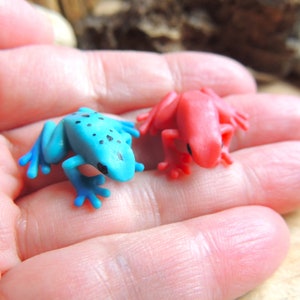 Cute Tiny MINIATURE Poison Dart Frog Animals Figurine Figures Dollhouse Diorama Terrarium Fairy Garden Small Toy Mini Micro Miniatures Frogs