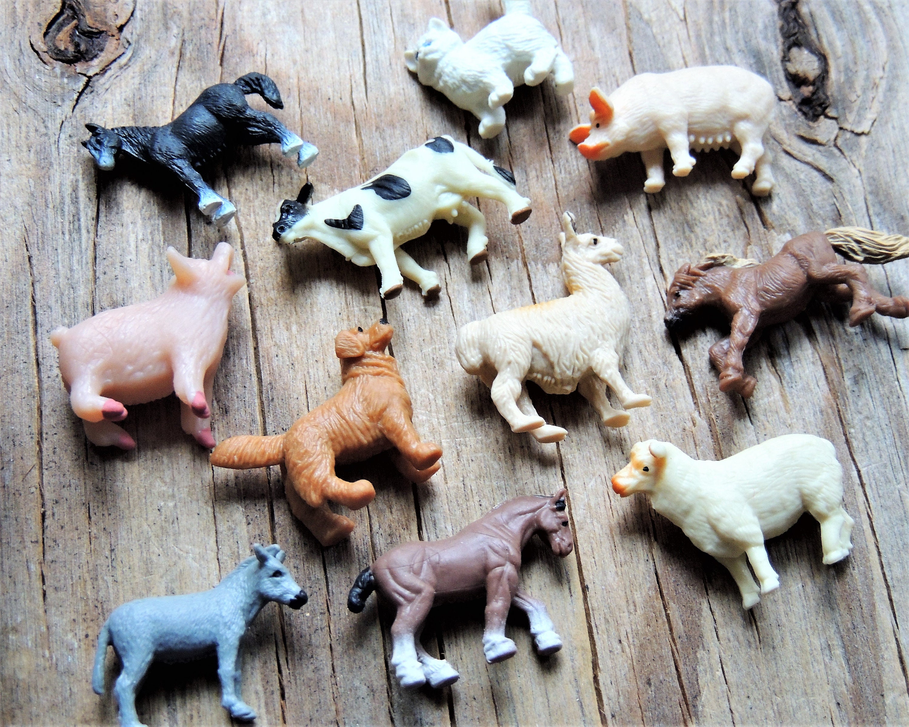 MINIATURE PIGS Mini Farm Animals Figures Figurine Pig Fairy Garden  Dollhouse Diorama Terrarium Supply Small Craft Tiny MICRO Miniatures 1:12 