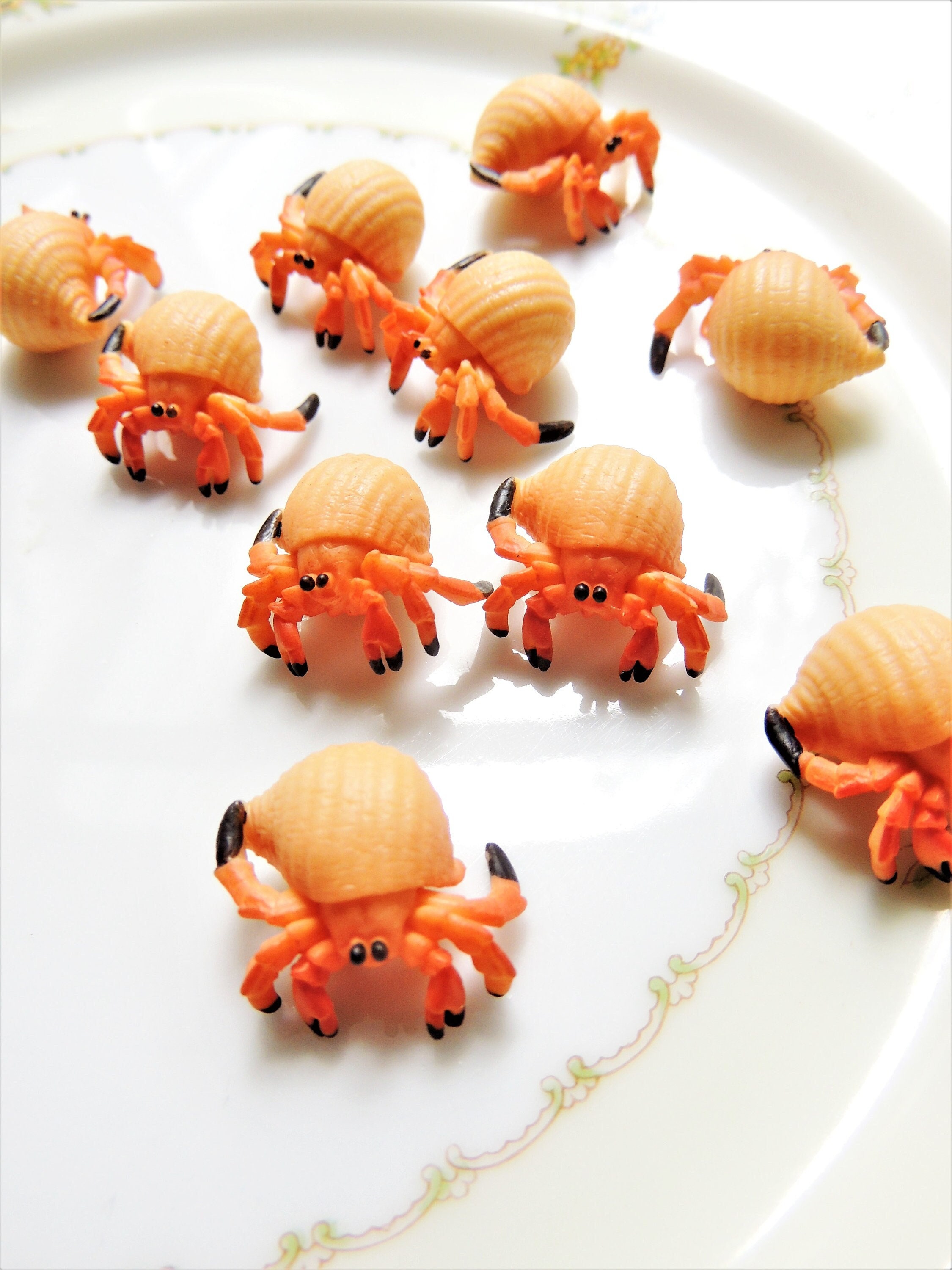 HERMIT CRAB MINIATURE Animal Figurine Figures Micro Minis - Etsy HERMIT CRAB MINIATURE Animal Figurine Figures Micro Minis - Etsy