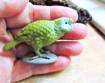 MINIATURE Animals Figurine Figures KAKAPOO Bird Fairy Garden Dollhouse Diorama Terrarium Supply Craft Miniatures Parrot Tiny Small Mini