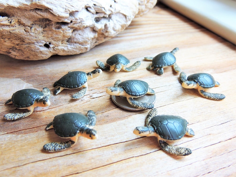 TINY MINI MINIATURE SEA TURTLES: Bulk Sets of 6-500 Figurines Sea Ocean Animal Realistic Figures for crafts, dollhouses, terrariums, fairy gardens, resin crafts, dioramas, party favors, scavenger hunts, sensory & Montessori, Etsys Pick Mini Animals