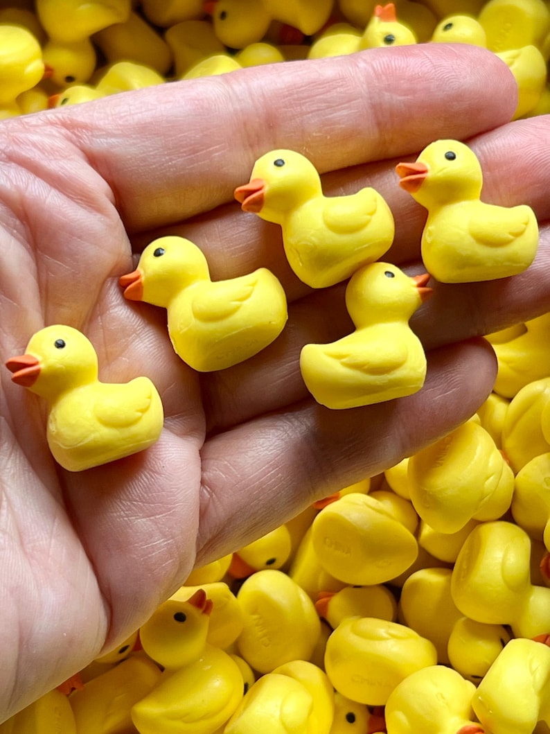 MINIATURE RUBBER DUCKS Ducky Tiny Mini Figure For Fairy Gardens Dollhouse Diorama Terrarium Figurine image 1