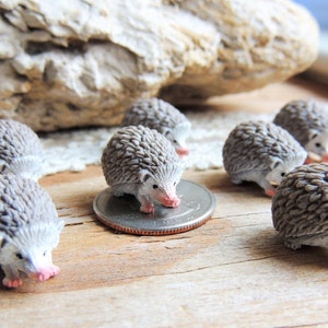 MINIATURE HEDGEHOG Animal Figurine Figure Micro Mini Fairy Garden Animals Dollhouse Diorama Terrarium Supply Small Tiny Minis Woodland Lot