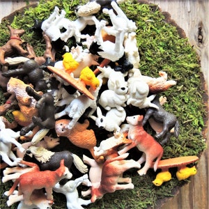 Op de afbeelding: Een verzameling miniatuur boerderijdierfiguren, waaronder honden, katten, konijnen en kippen. De figuren zijn in verschillende kleuren en poses gerangschikt op een bed van groen mos en een houten schijf.