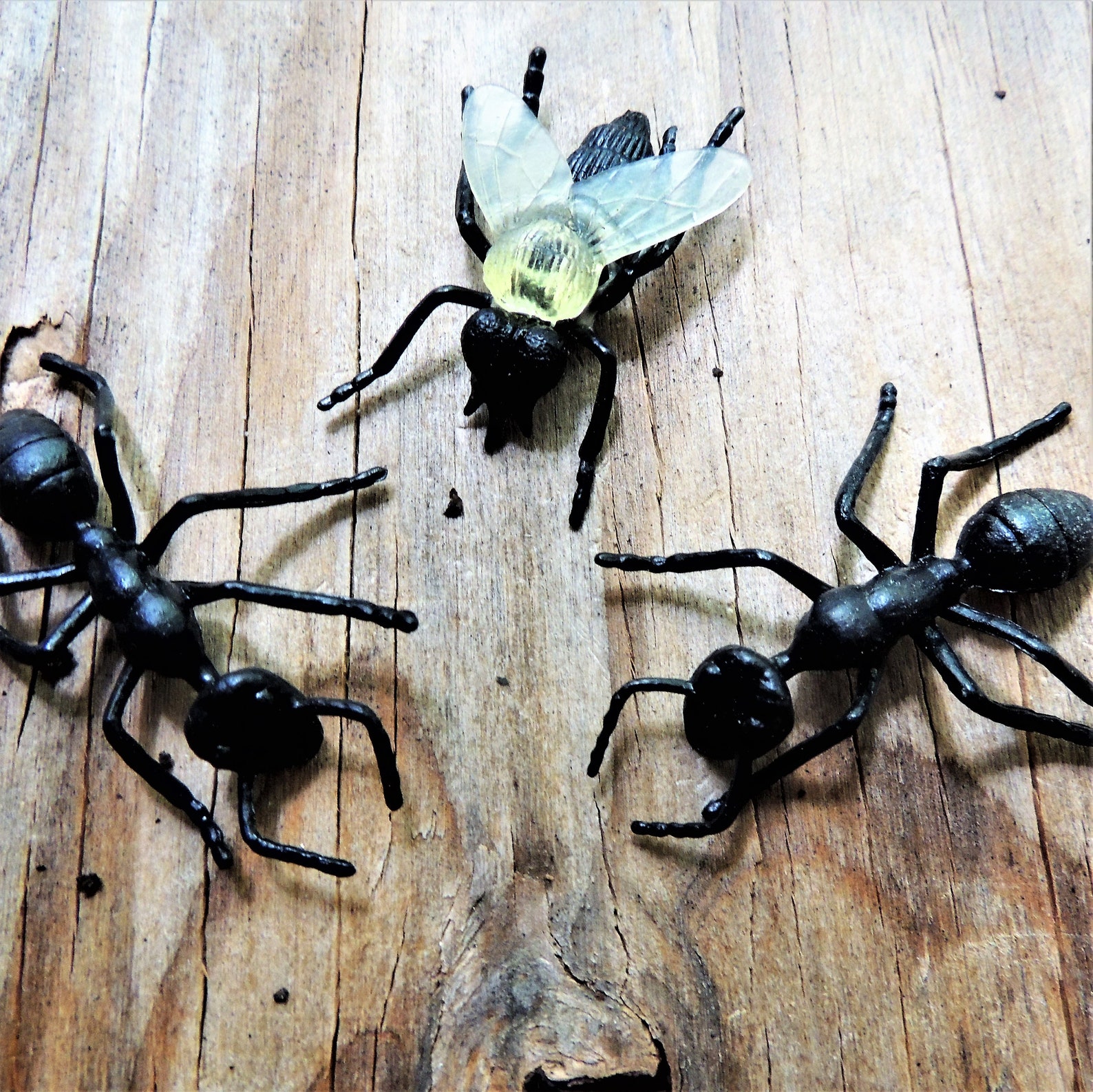 MINIATURE ANT Insects Animal Figure Figurine Dollhouse Fairy Garden ...