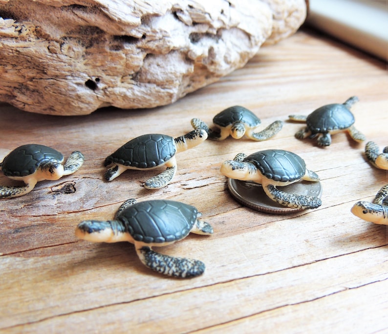 TINY MINI MINIATURE SEA TURTLES: Bulk Sets of 6-500 Figurines Sea Ocean Animal Realistic Figures for crafts, dollhouses, terrariums, fairy gardens, resin crafts, dioramas, party favors, scavenger hunts, soap egg slime filler, Etsys Pick Mini Animals