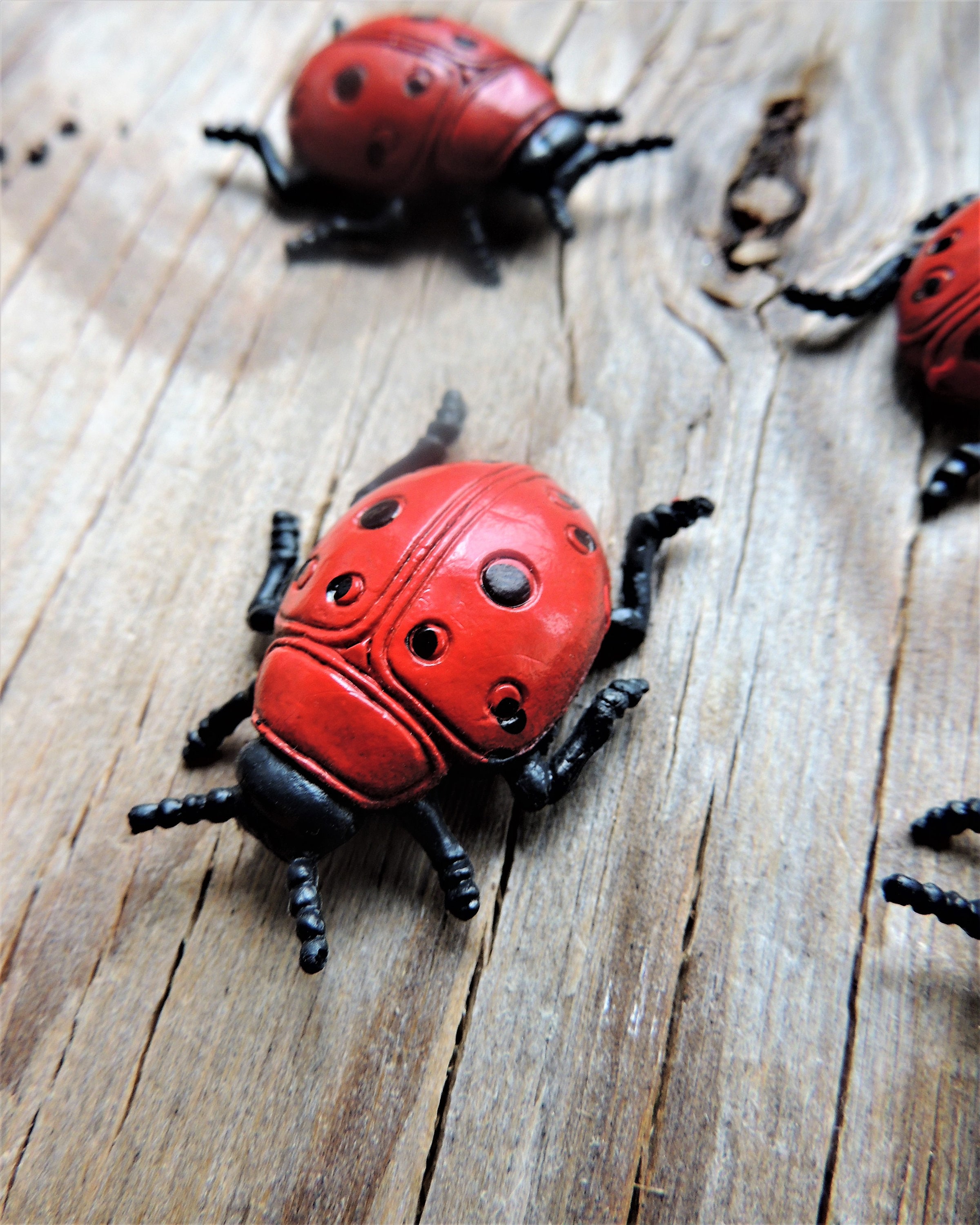 MINIATURE LADYBUG Animal Insect Figures Figurines Fairy Garden ...