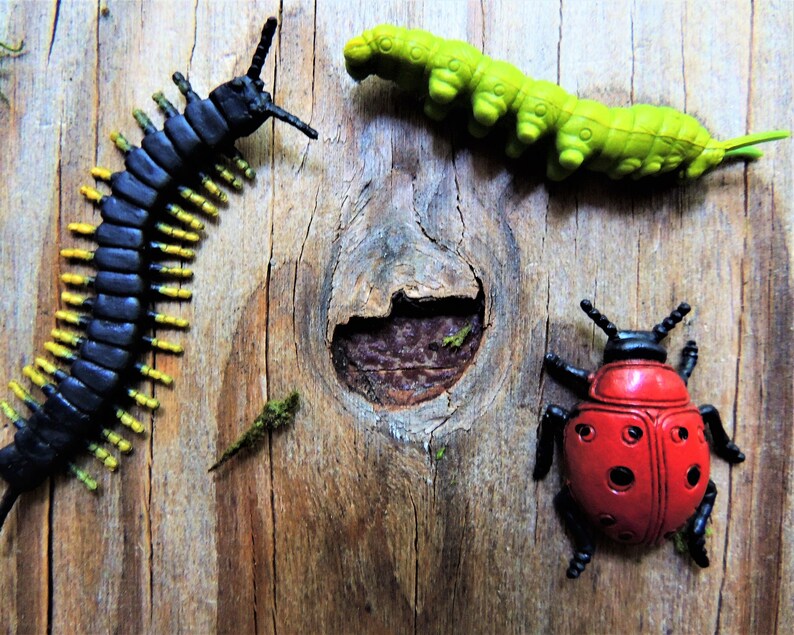 BULK MINIATURE Animals Figurines INSECTS Figure Dollhouse Etsy