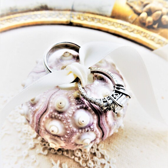 shell ring box