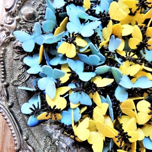 May include: A silver tray filled with blue and yellow butterfly-shaped decorations. The butterflies are scattered randomly on the tray, creating a colorful and whimsical display.