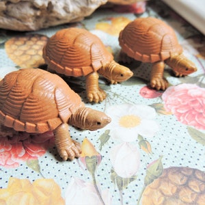 TURTLE MINIATURE Loggerhead Musk Turtles Figure Figurines Dollhouse Diorama Terrarium Supply Animal Small Animal Mini Tortoise River Wetland image 2