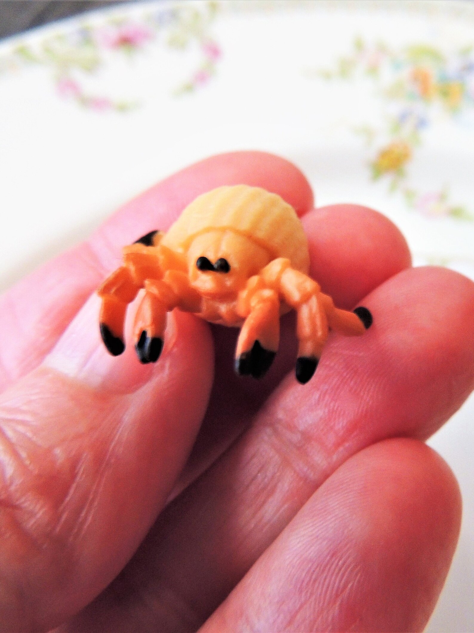 Set of Tiny MINIATURE Hermit Crab Sea Life Animal Figurine Etsy