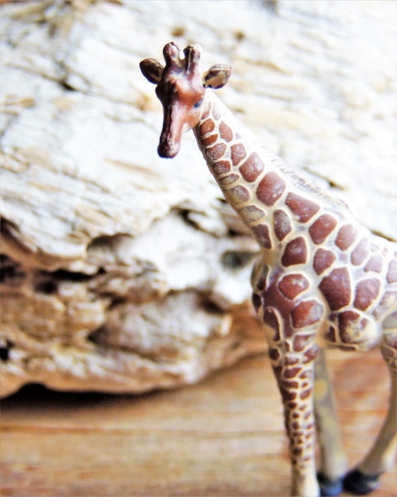 セット　フィギュア　ガーデン雑貨　ペンギン　牛　ドイツ製　置物　サファリ　動物 セット フィギュア ガーデン雑貨 ペンギン 牛 ドイツ製 置物