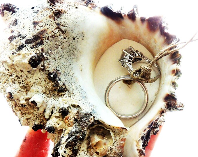 RING PILLOW BEACH Seashell Wedding Ring Holder Shell Ring Etsy