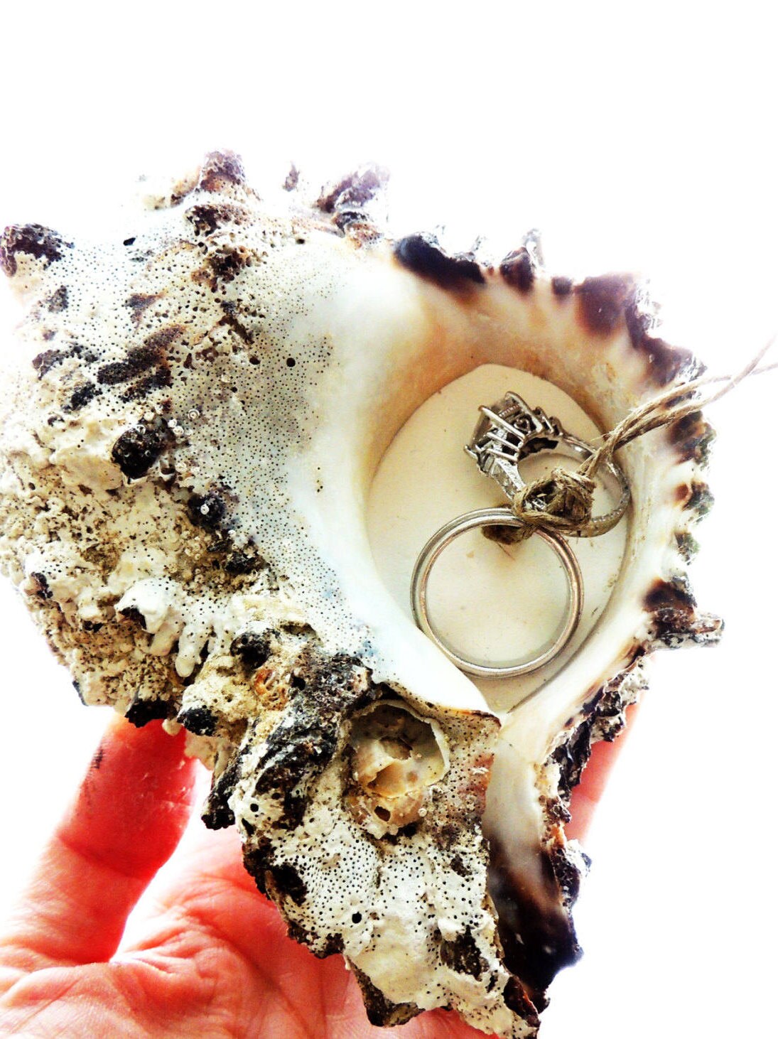 RING PILLOW BEACH Seashell Wedding Ring Holder Shell Ring Etsy