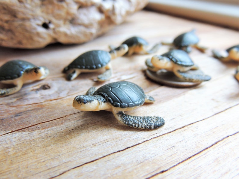 TINY MINI MINIATURE SEA TURTLES: Bulk Sets of 6-500 Figurines Sea Ocean Animal Realistic Figures for crafts, dollhouses, terrariums, fairy gardens, resin crafts, dioramas, party favors, scavenger hunts, wedding decor, events, Etsys Pick Mini Animals