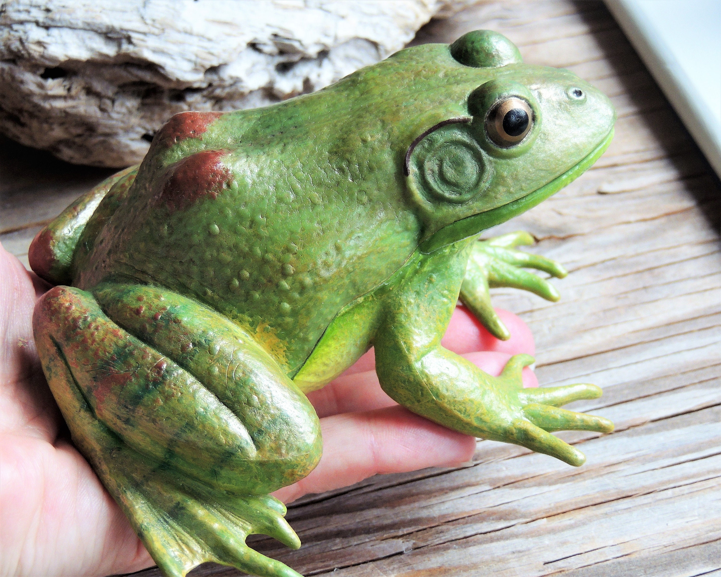Large MINIATURE AMERICAN BULLFROG Animals Figurines Figures Diorama ...