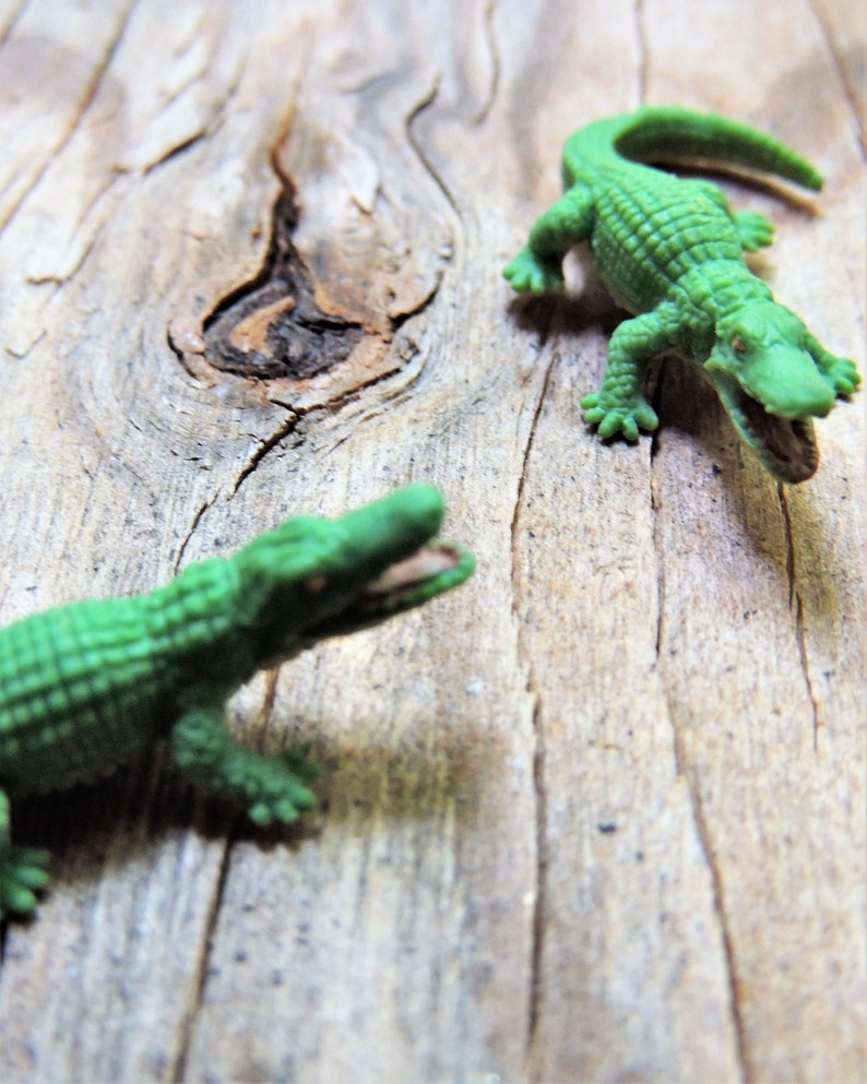 Tiny miniature realistic soft collectible alligator for crafts, dollhouses, terrariums, fairy or zen gardens, dioramas, shadow boxes, sensory or pretend play, plant pets, and much more.