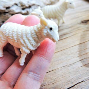 Miniature Sheep Farm Animal Mini Figurine Figure for Crafts, Terrariums, Large Dollhouses, Fairy Gardens, Resin or Soap Projects, School Projects, Dioramas, Shadowboxes, etc.